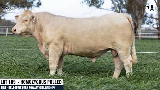 LOT 109 : ASCOT VERDICT V148E AI P
