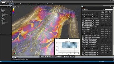 Sim4Life V5.0: New FEM Solvers for Realistic Neurostimulation Applications