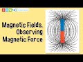 Unveiling Magnetic Fields Through Iron Filings Experiment
