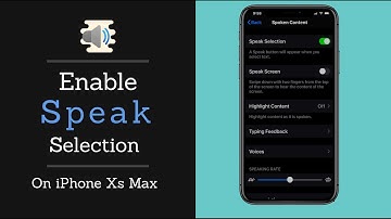 Enable Speak Selection on iPhone XS Max, XR, XS, X | Turn On iPhone Speak Auto Text