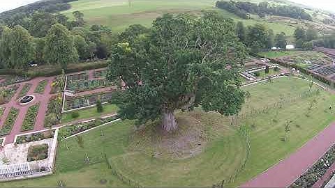 Using drones for aerial surveys of land and land usages