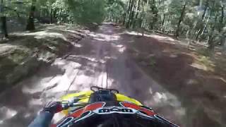 Crooms Trails ATV... Watch out for that tree!