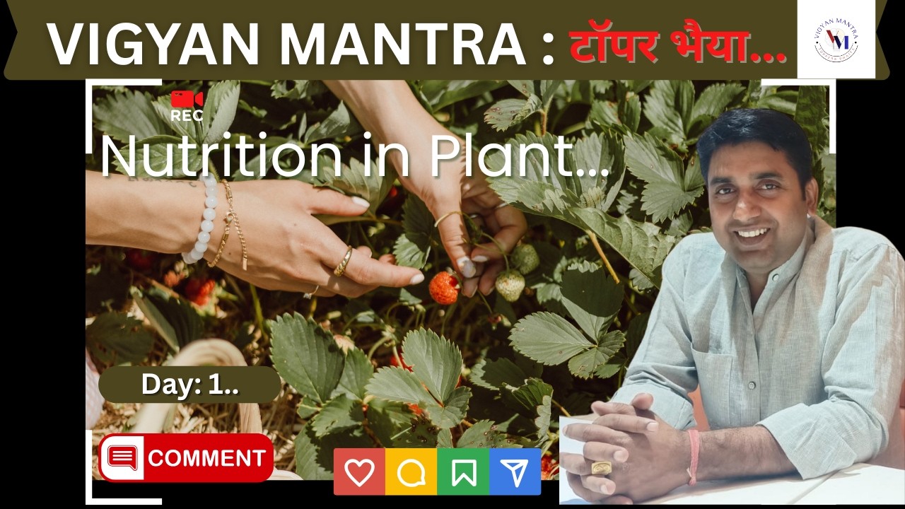 Nutrition in Plants