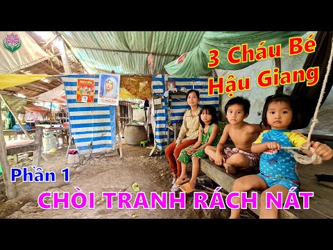 Video Đáng Thương Gà Trống Mắt Cườm 40% Gồng Gánh Nuôi 6... - youtube