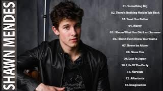 Shawn Mendes Hits Full Album 2021 - Shawn Mendes Best Of Playlist 2021