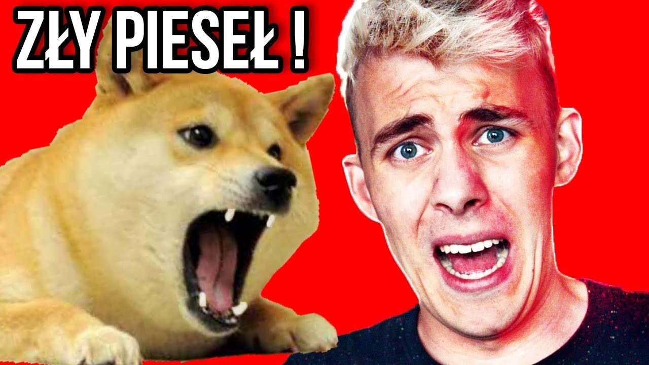 PIESEŁ UGRYZŁ BLOWKA ! - YouTube
