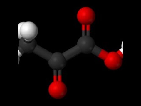 Video: Dove avviene la degradazione dell'acido piruvico?