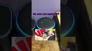 Echo dots… #alexa #echodot #funny