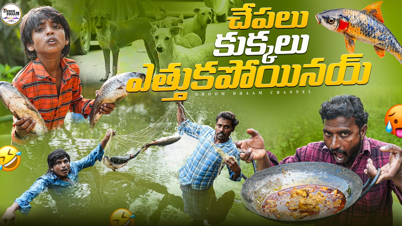 చేపలు కుక్కలు ఎత్తుకపోయినయ్||చేపలుపట్టినం||village fish hunting||village comedy||dhoom dhaam channel