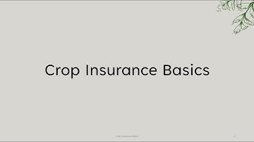 Crop Insurance Basics