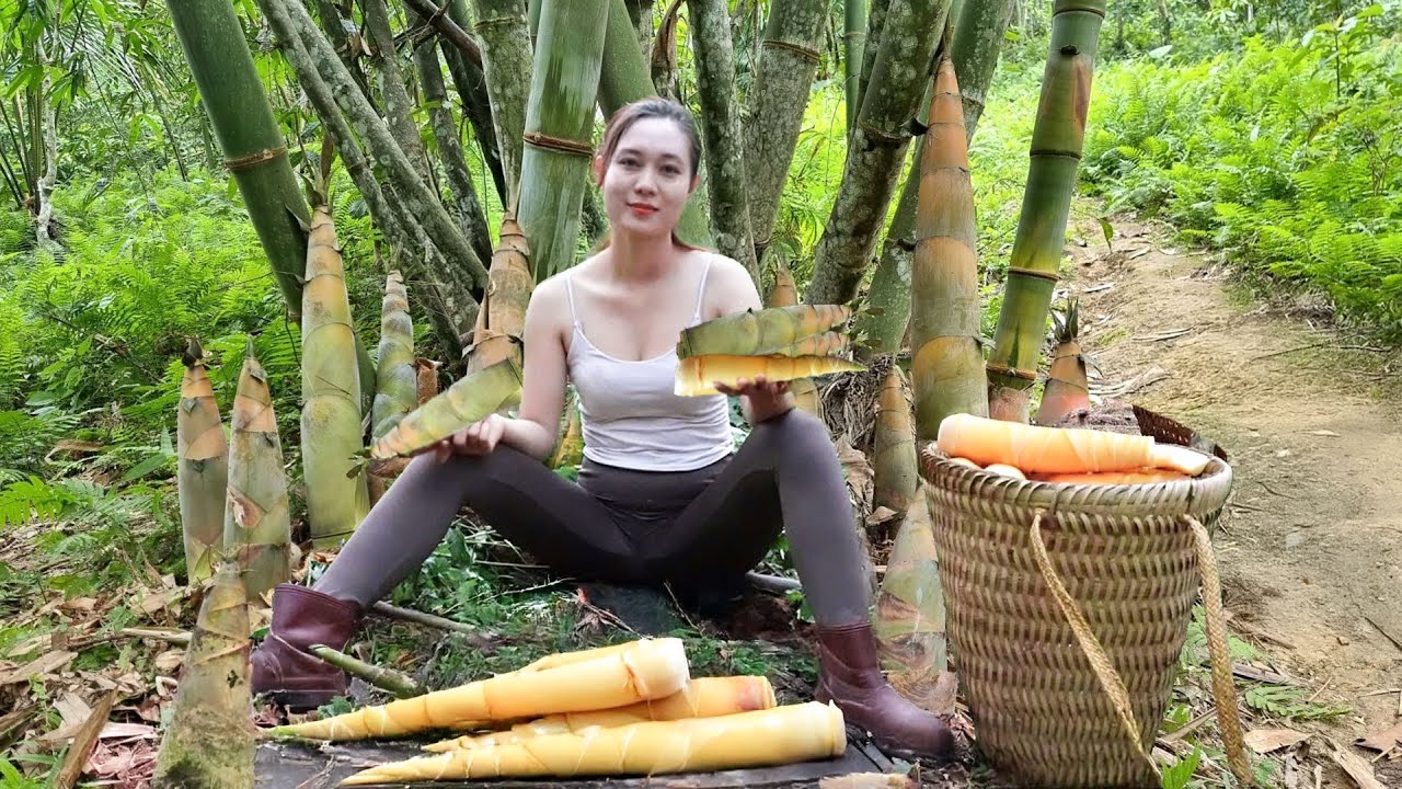How to Harvest Giant Bamboo Shoots Goes to the Market Sell & Cooking ...