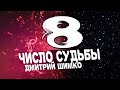 Число Судьбы "8". Астротиполог - Нумеролог - Дмитрий Шимко