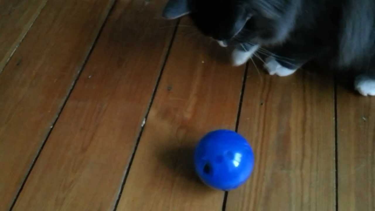 petsafe slimcat