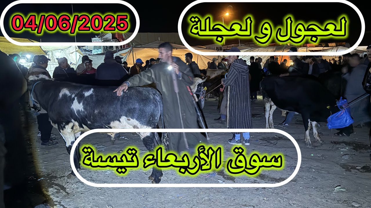 مباشرة فسوق الأربعاء تيسة إقليم تاونات رحبة لعجول ولعجلة 04/06/2025