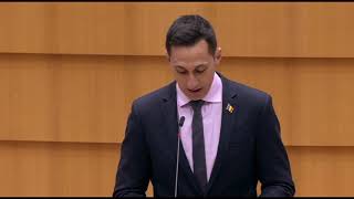 Vlad Gheorghe 25 March 2021 plenary speech on assassination of Daphne Caruana Galizia