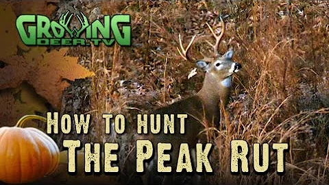 Hunting The Rut: Prime Time for Deer Hunting! (#258) @GrowingDeer.tv