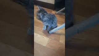 окаменение😂😂😂😂😂