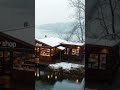 Relaxing Piano Music🎹 | Piano Solo | cozy coffee☕ shop vibe | for Studying,  #relaxingpiano