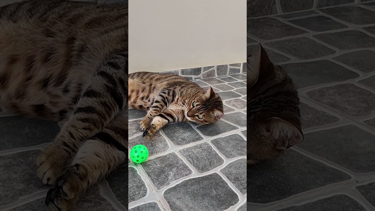 2 años sin ver a naruto 🥹❤️‍🩹