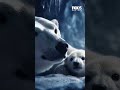 More ads using AI-generated content