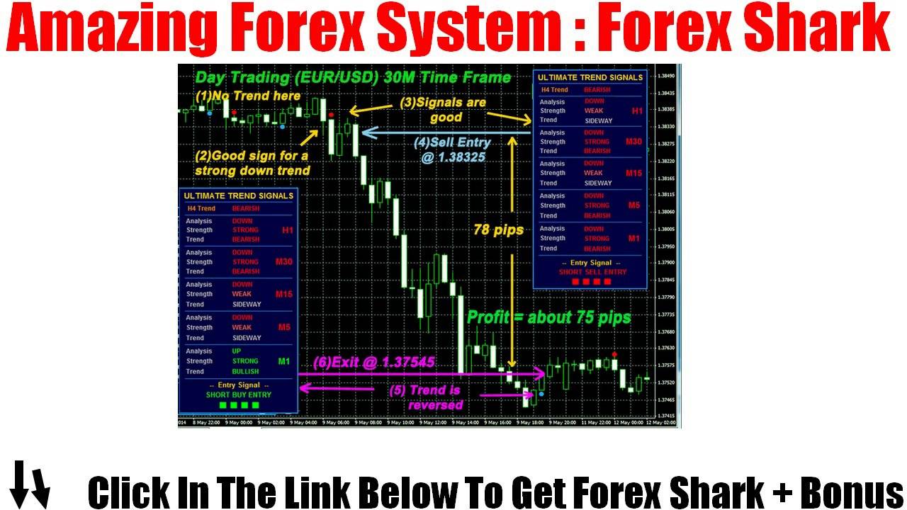 Forex reviews youtube