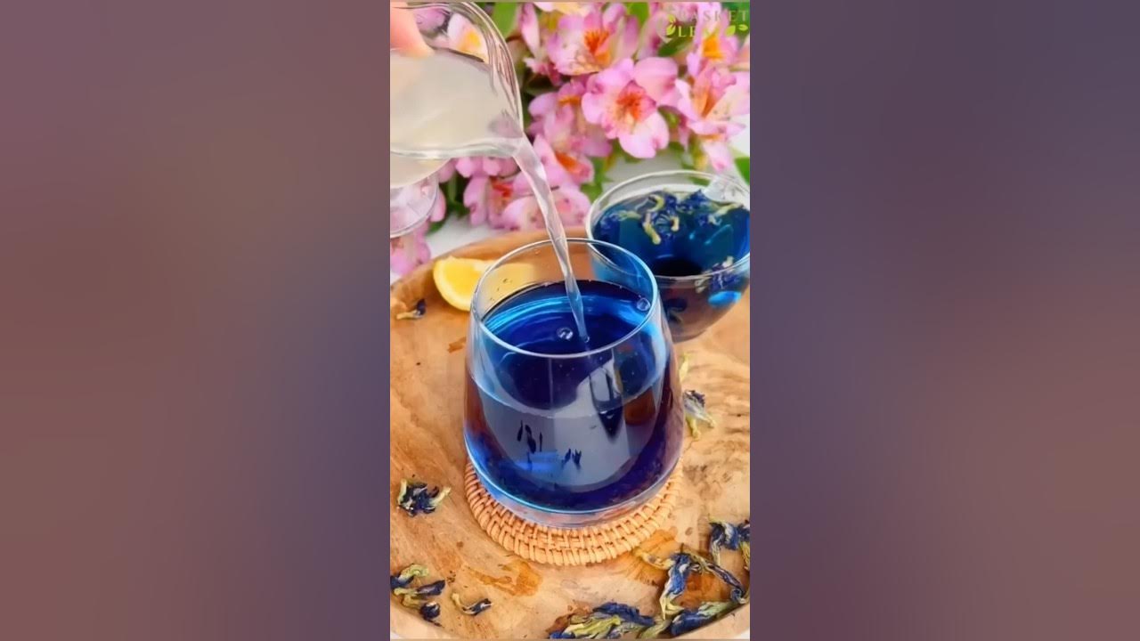 Discover the Magic of Blue Pea Flower Tea A Visual Feast for the