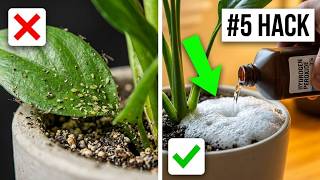 Why You Should Never Buy Expensive Bug Spray Again! Update