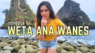 Download lagu WETA ANA WANES - LAGU ENDE LIO [COVER VERSION]