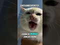 FAKTA aneh tapi nyata #shortvideo #faktaunik