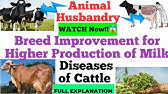 Introduction to Animal Husbandry | Hindi | Biology - YouTube