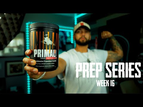 16 Weeks Out | Pre-Workout Breakdown & Experience