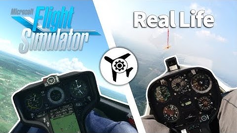 Microsoft Flight Simulator vs. Real Life