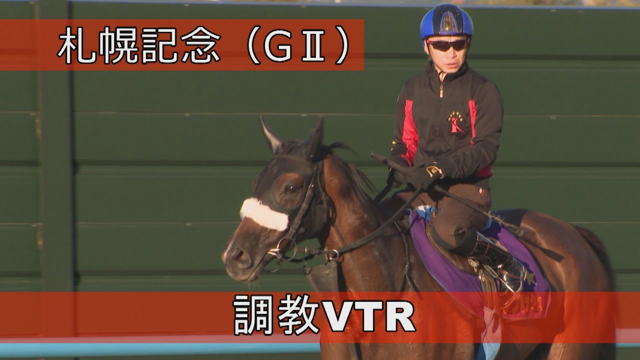 競馬パネル：ホクトベガ「1994年第30回札幌記念」 ※プレート付き ディープインパクト産駒がJRA通算2800勝 函館11Rで達成