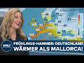 WETTER IN DEUTSCHLAND: Besser als Mallorca - der Frühling ist da! Bis zu 23 Grad erwartet!