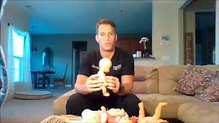 Is Chiropractic Safe For Babies And Children? Why Would Then Need It? Functional Nugget