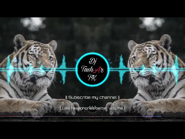 TIGER_SANDAL_DHUMAL_( REMIX ) DJ TUSHAR X DJ DVR MUSIC PRODUCTION class=