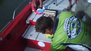 Happy Dad's Queen Fish screenshot 4