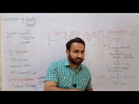 Concentration of Excretory Products, Counter Current Multiplier, Hormonal Control, FSC Biology Book2