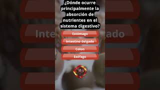 Where does nutrient absorption primarily occur in the digestive system?