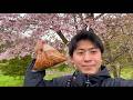 炭火、春にお花見でホルモン焼く