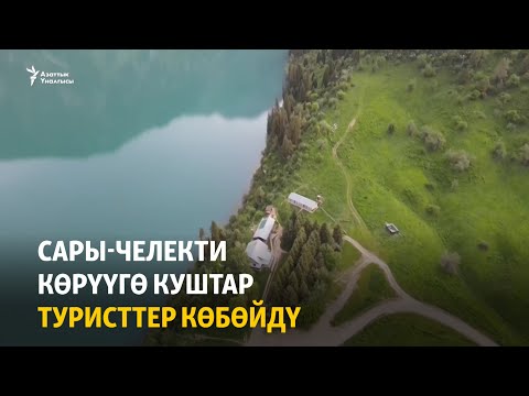 Video: Туристтерди кантип тосуп алса болот