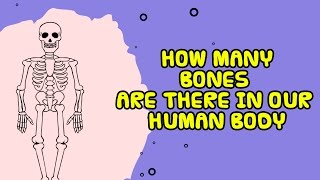 How Many Bones Are There In Human Body? - Kids Video Show