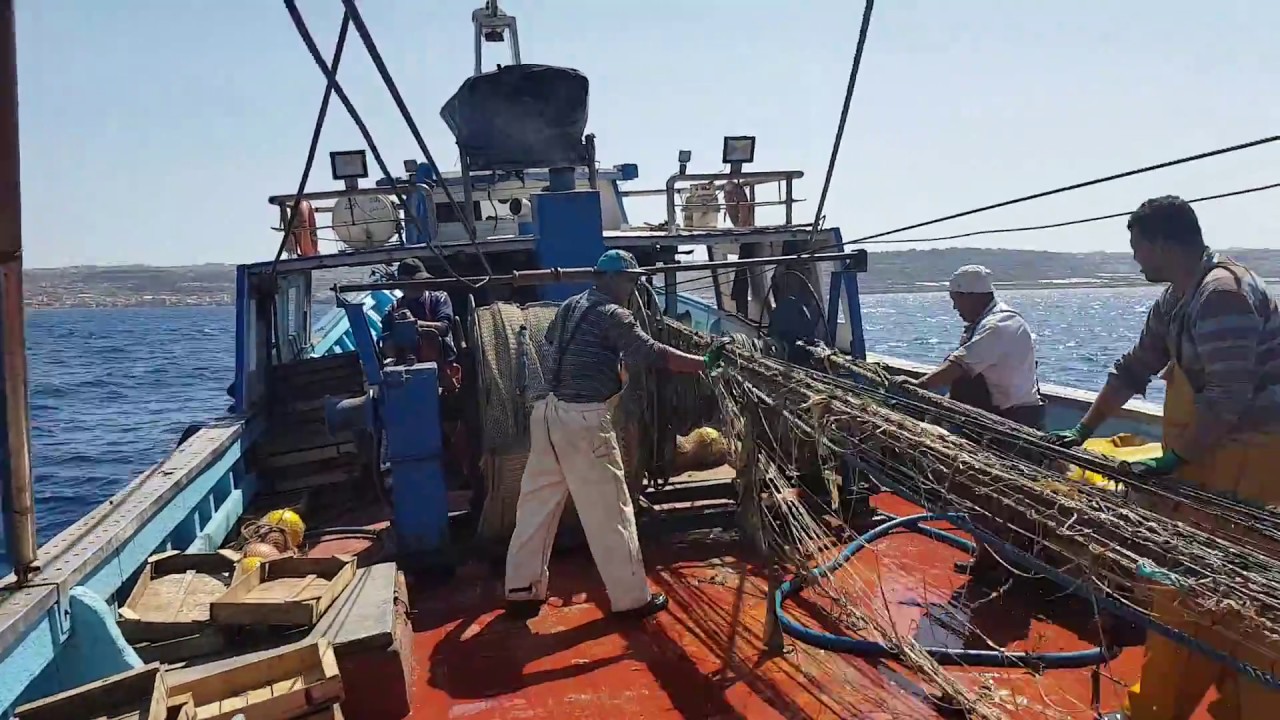 BOUHAROUN Mer&Pêche بوهارون صيد و بحر -