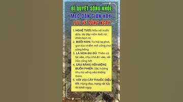 Bí Quyết Giữ Gìn Sức Khỏe Toàn Diện #ChămSócSứcKhỏe #BảoVệSứcKhỏe #SốngKhỏeMỗiNgày