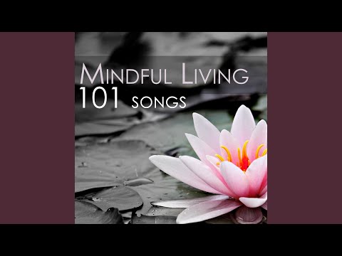 Guarda Mind Reset su YouTube Guarda Mind Reset su YouTube