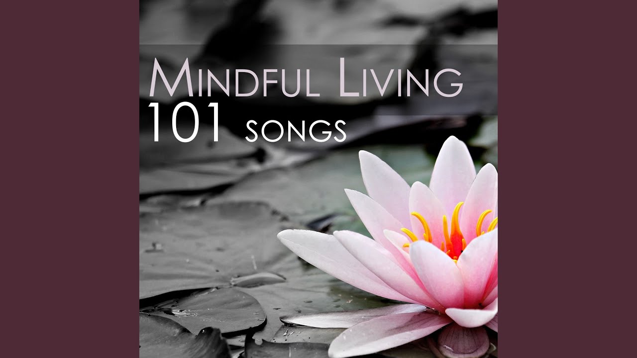 Watch Mind Reset on YouTube Watch Mind Reset on YouTube