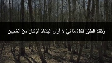القران الكريم - سورة النمل - ما تيسر من سورة النمل الايات من 15-30 القارئ أحمد مجدي