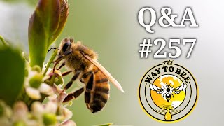 Backyard Beekeeping Questions and Answers Episode 257, clustered bees, and more.