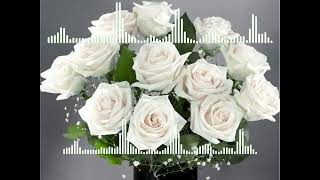 oq atirgullar #music #mp3 #uzbek #trendmusic #carmusic #yangiqoshiq #musiqalar #klip #klipy