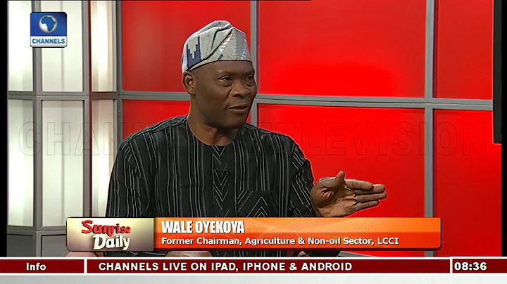 'Nigeria Lacks Sustainable Food Security Policy' Farmer Dissects Challenges Pt.2 |Sunrise Daily|